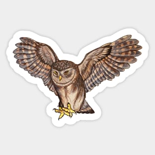 Attacking owl Sticker